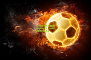 澳客电脑版-广东新星魏祥鑫开启欧塞尔试训之旅，全运会前赴法淬炼三周