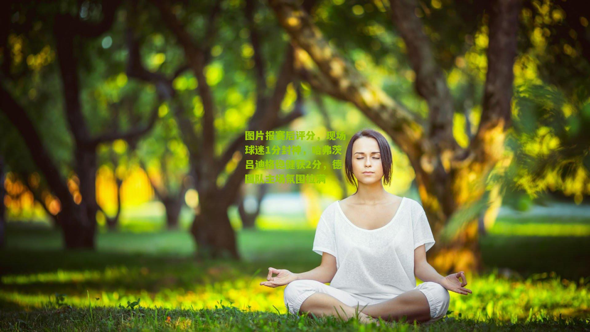 图片报赛后评分，现场球迷1分封神，哈弗茨吕迪格稳健获2分，德国队主场氛围拉满