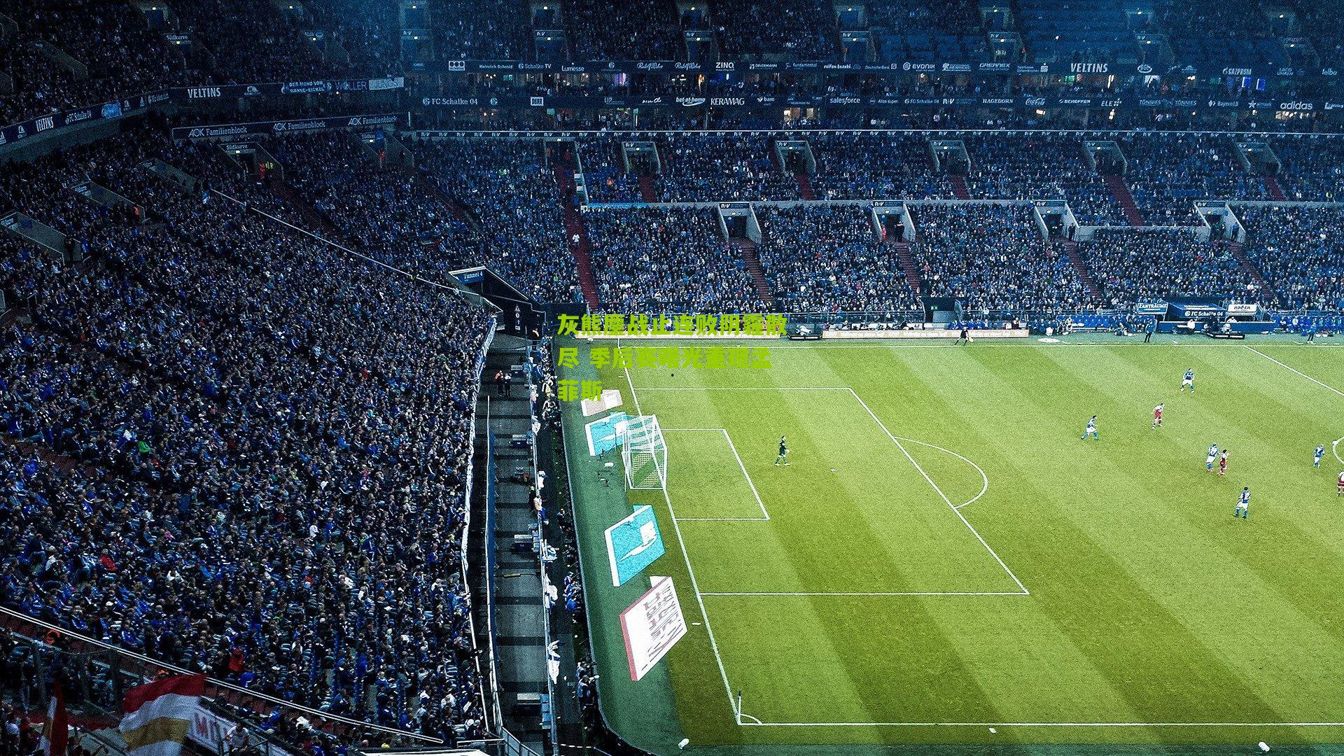 灰熊鏖战止连败阴霾散尽 季后赛曙光重现孟菲斯